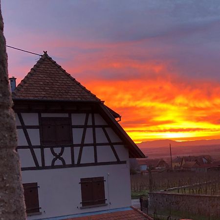 Beck Domaine Du Rempart Villa Dambach la Ville Bagian luar foto