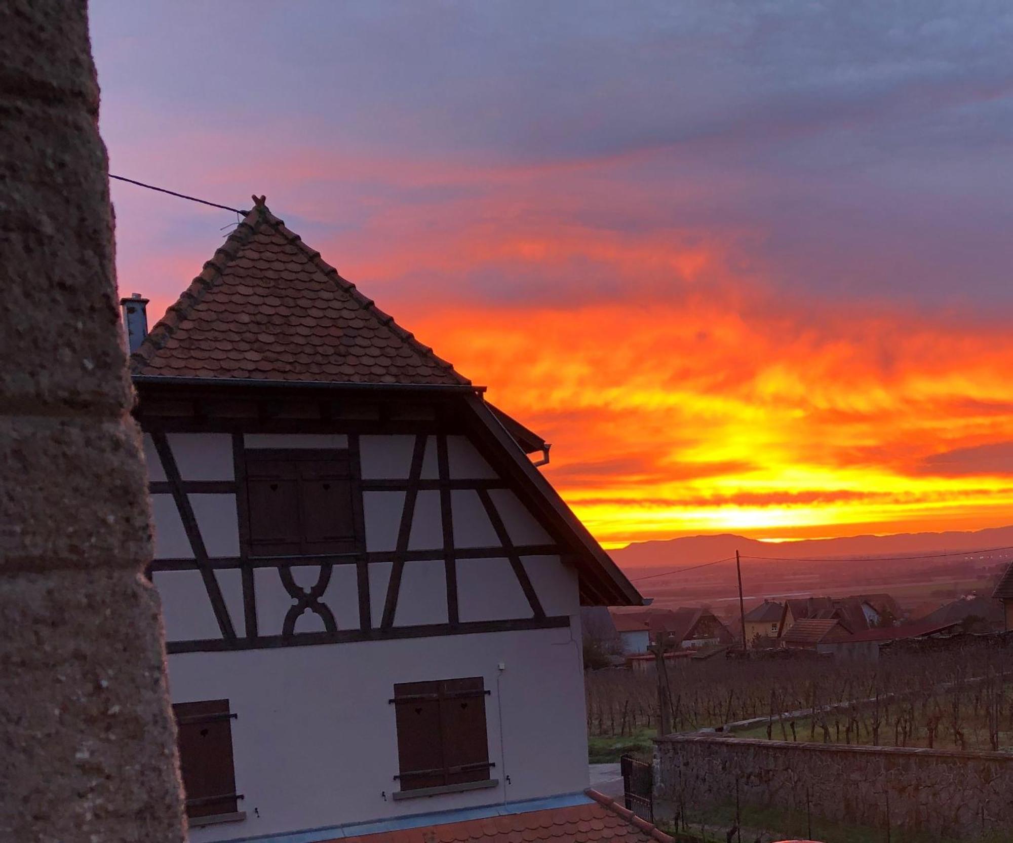 Beck Domaine Du Rempart Villa Dambach la Ville Bagian luar foto